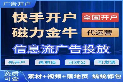 百度竞价广告的投放策略与成功案例分析